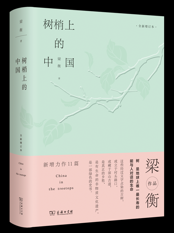 股票配资学 程耀恺：书房里的“树”_大皖新闻 | 安徽网