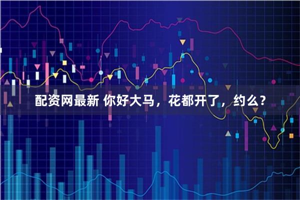 配资网最新 你好大马，花都开了，约么？