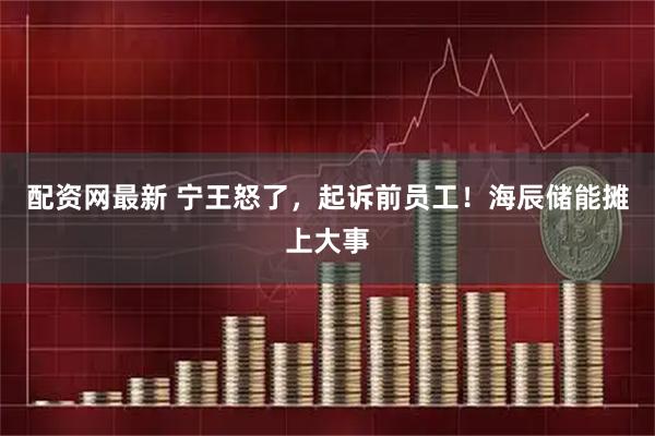 配资网最新 宁王怒了，起诉前员工！海辰储能摊上大事