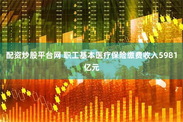 配资炒股平台网 职工基本医疗保险缴费收入5981亿元